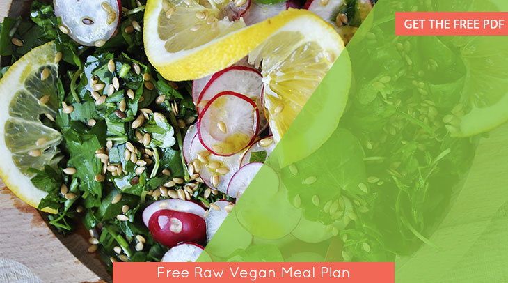 22 Day Vegan Diet Meal Plans