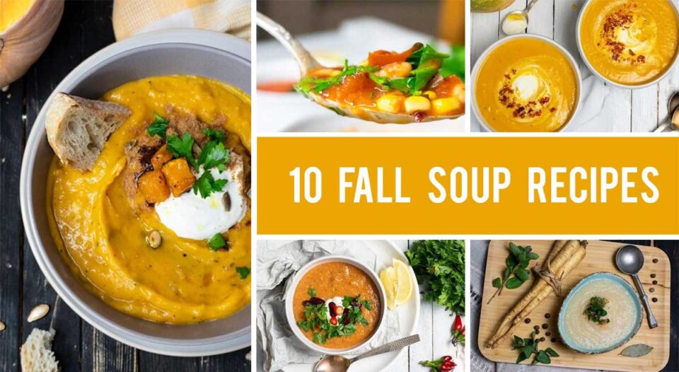 10 Best Fall Soups Easy Healthy Autumn Soup Recipes