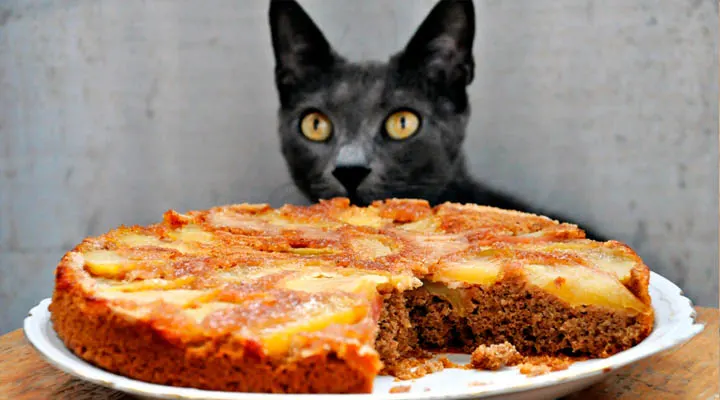 Upside-Down Vegetarian Apple and Cinnamon Pie Mishkin Cat | Prajitura cu mere