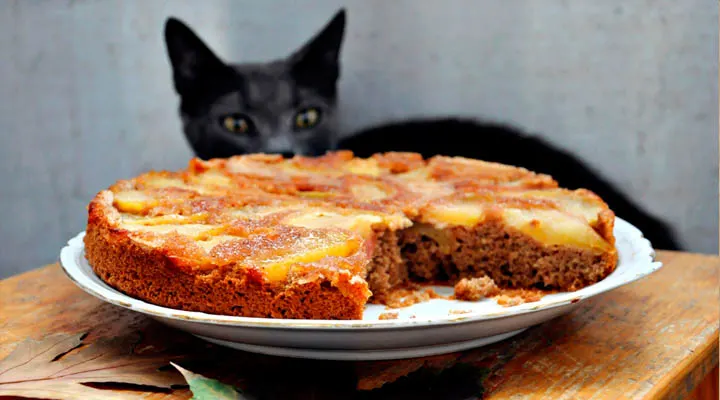 Upside-Down Vegetarian Apple and Cinnamon Pie Russian Cat