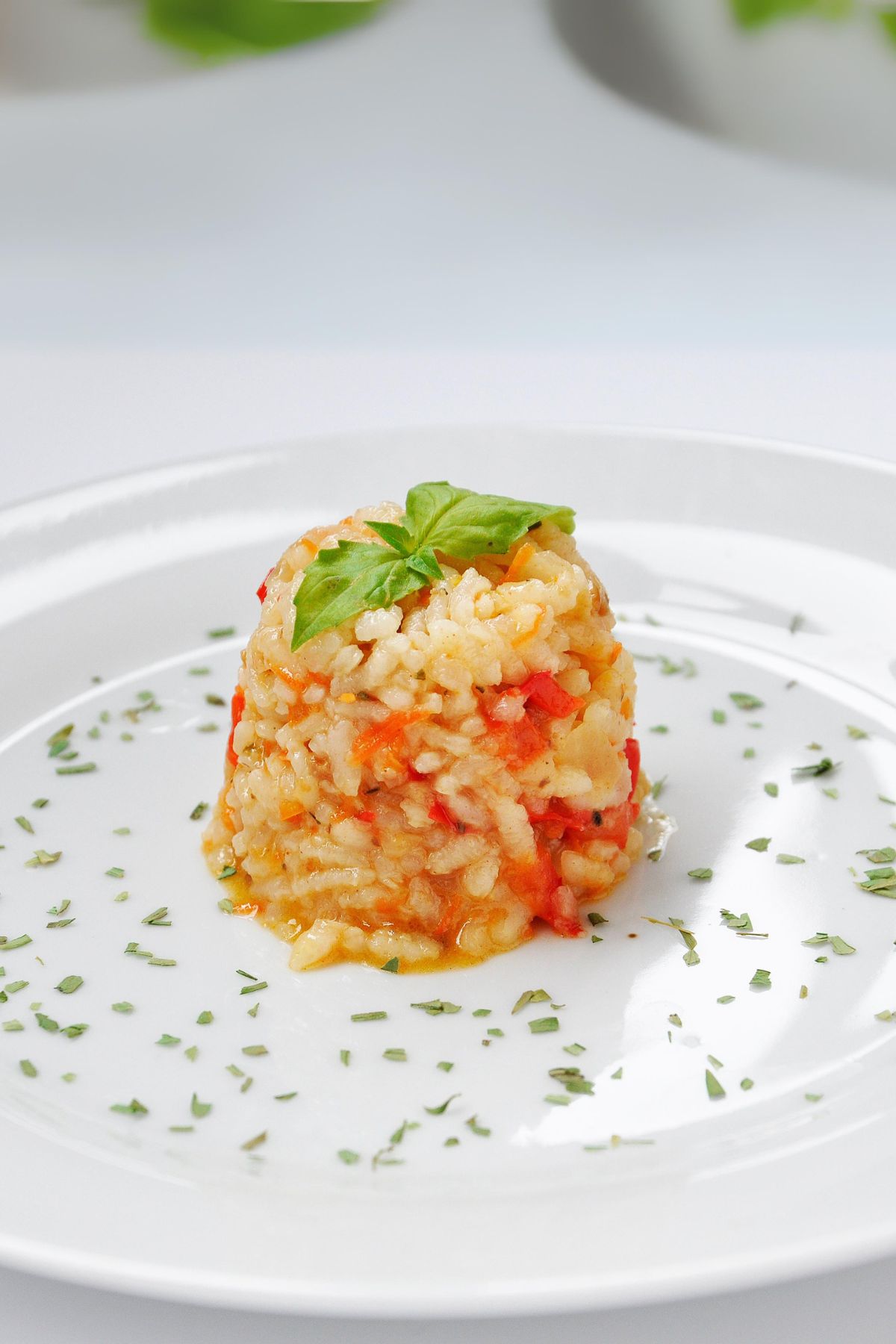 Serbian Rice Pilaf with Vegetables recipe