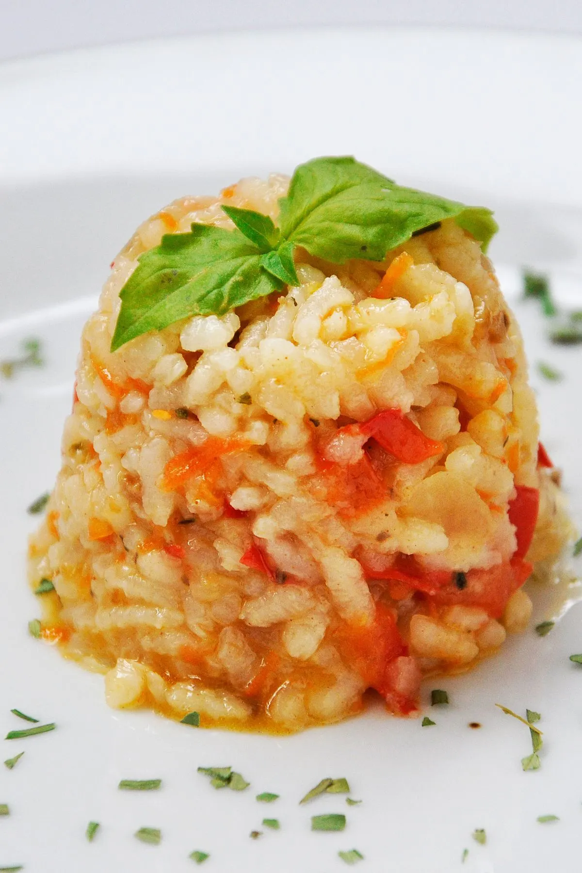 Vegetables Rice Pilaf Recipe 