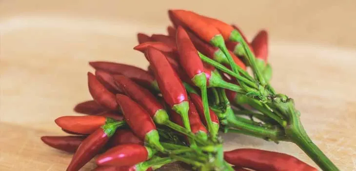 health Benefits of Eating Chili Chillies Help Burn Fat
