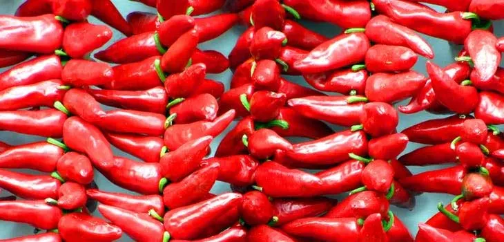 The Great Benefits of Eating Chili