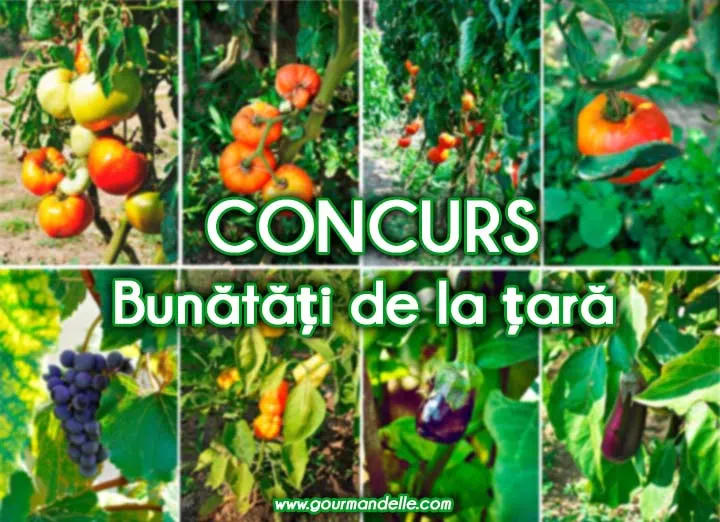 Concurs gourmandelle bunatati de la tara legume bio