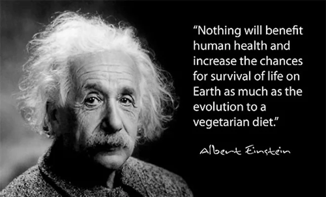 Vegetarian quote Einstein