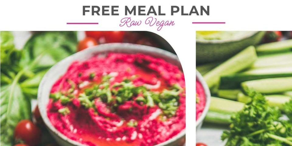 Free Raw Vegan Meal Plan | Download Printable PDF
