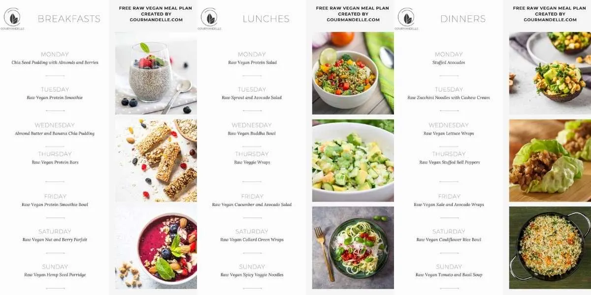 Gourmandelle Free Raw Vegan Meal Plan sample pages