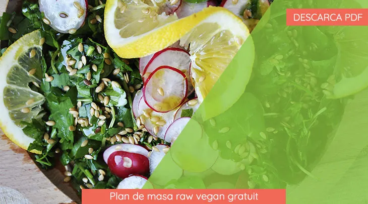 Plan de masa raw vegan gratuit