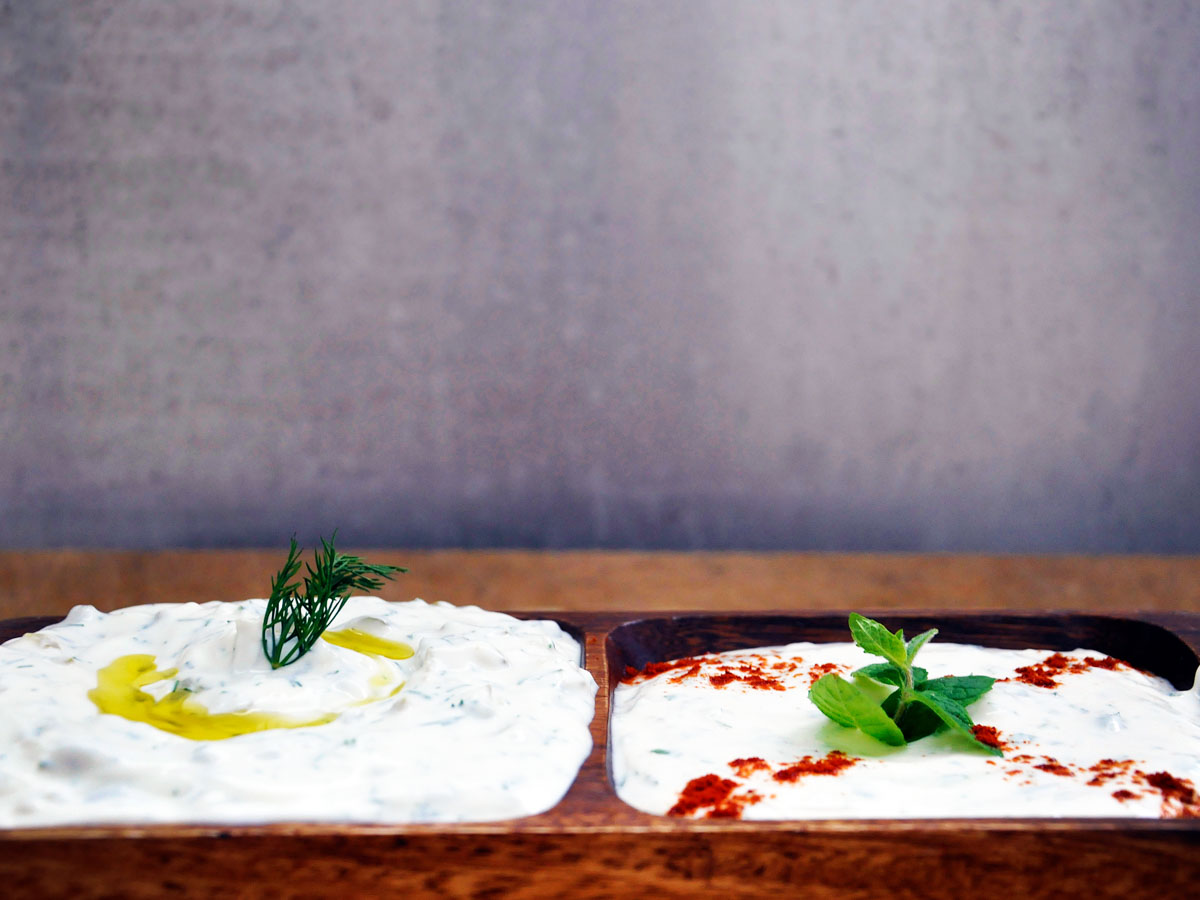 Yogurt Appetizers Feta Mint Yogurt Dip and Tzatziki