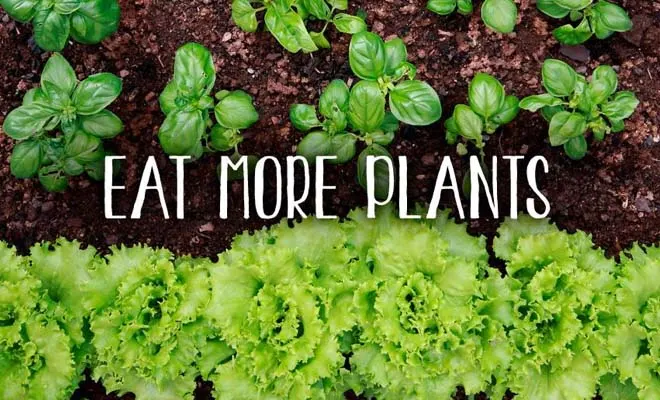eat more plants
