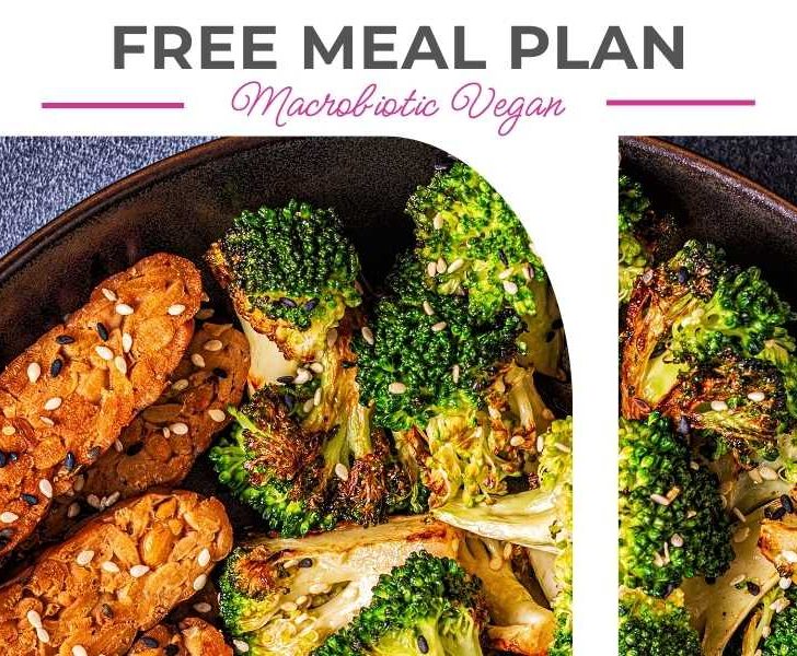 gourmandelle macrobiotic meal plan featured