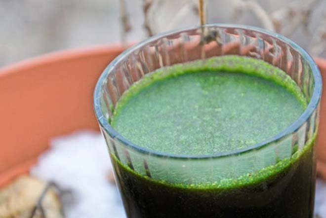 Immunity booster green smoothie