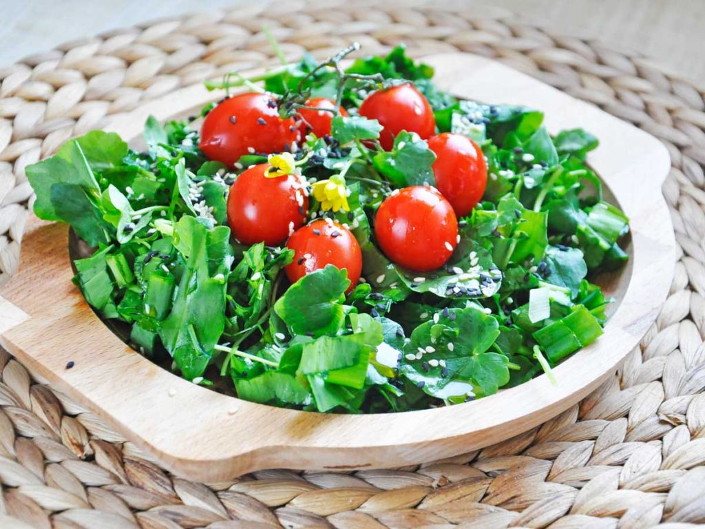 Spring Watercress Salad Balsamic Vinaigrette Salata de untisor_