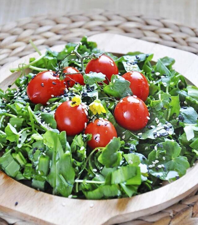 cropped-Spring-Watercress-Salad-Balsamic-Vinaigrette-Salata-de-untisor-dressing.jpg