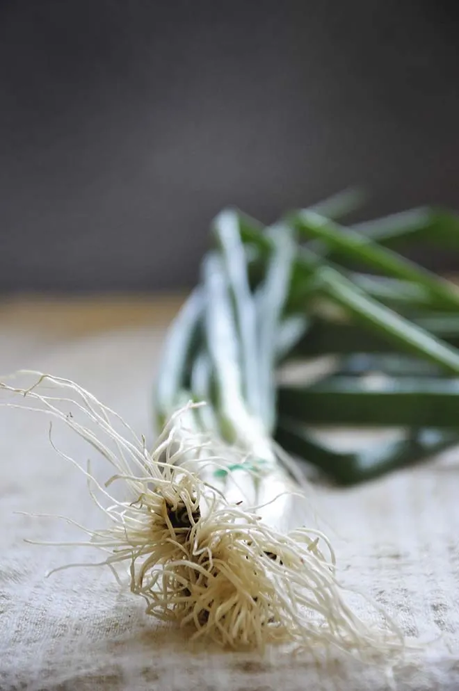 scallions 