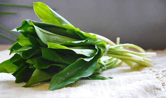 wild garlic ramps 