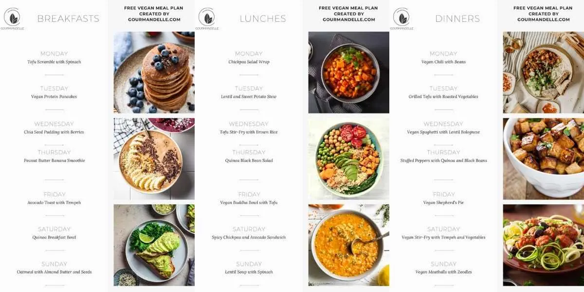 gourmandelle High Protein Vegan meal plan sample pages