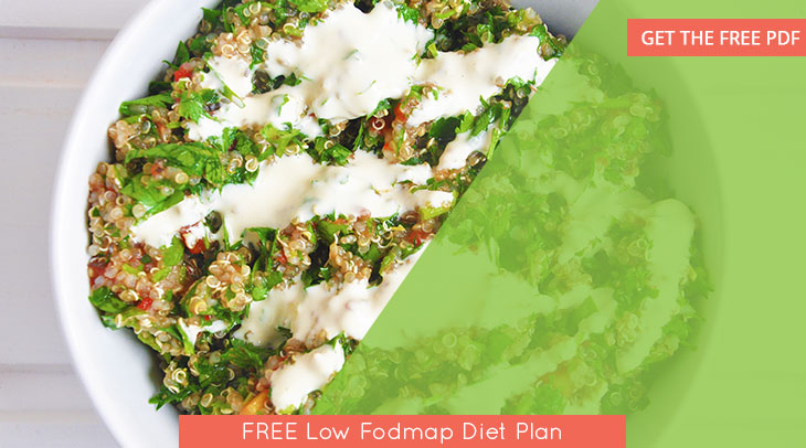 FREE Low Fodmap Diet Plan