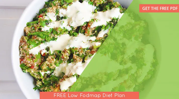 FREE Low Fodmap Diet Plan
