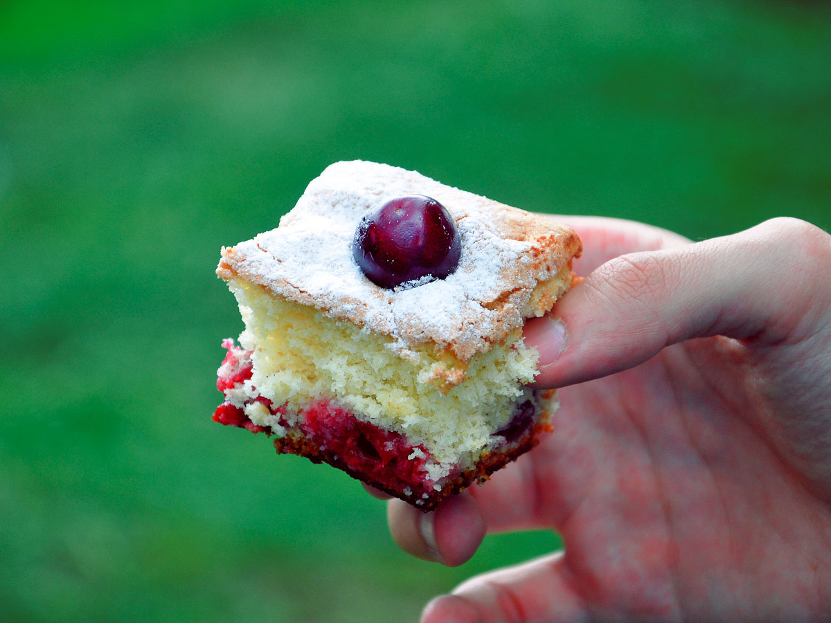 gluten free sour cherry cake slice