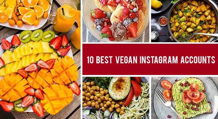 best vegan instagram accounts