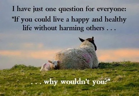 live a life without harming others