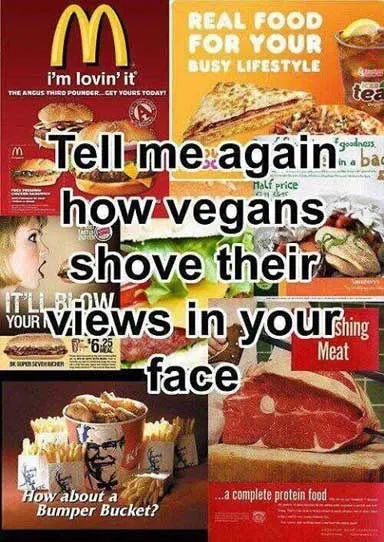 vegans-shove-ideas-in-your-face-meme