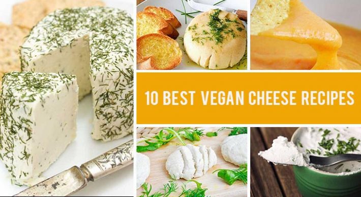 10 Vegan Cheese Recipes That Will Make You Ditch Dairy!