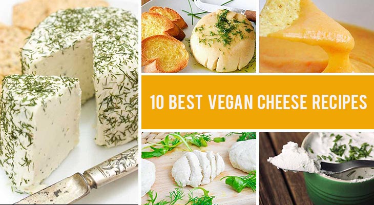 best vegan cheese recipes