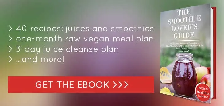 The smoothie lover's guide eBook