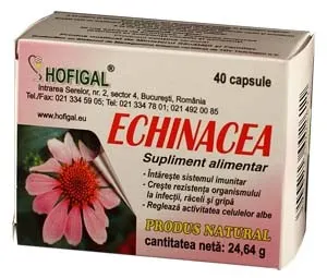 echinacea-40cps