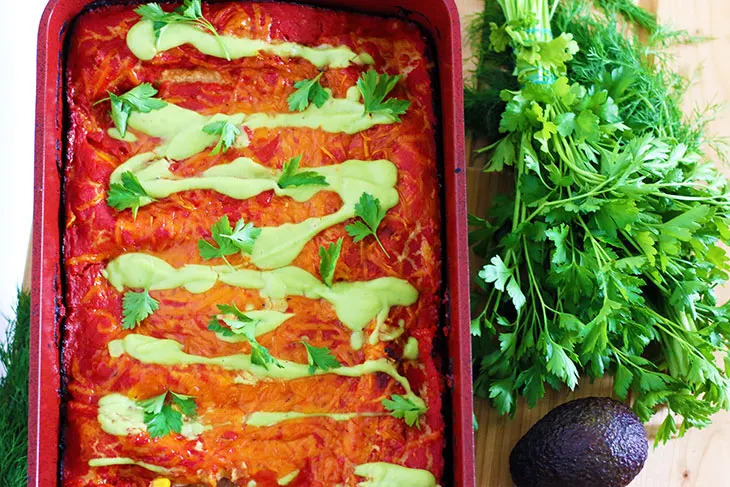 protein rich vegan enchiladas vegane reteta