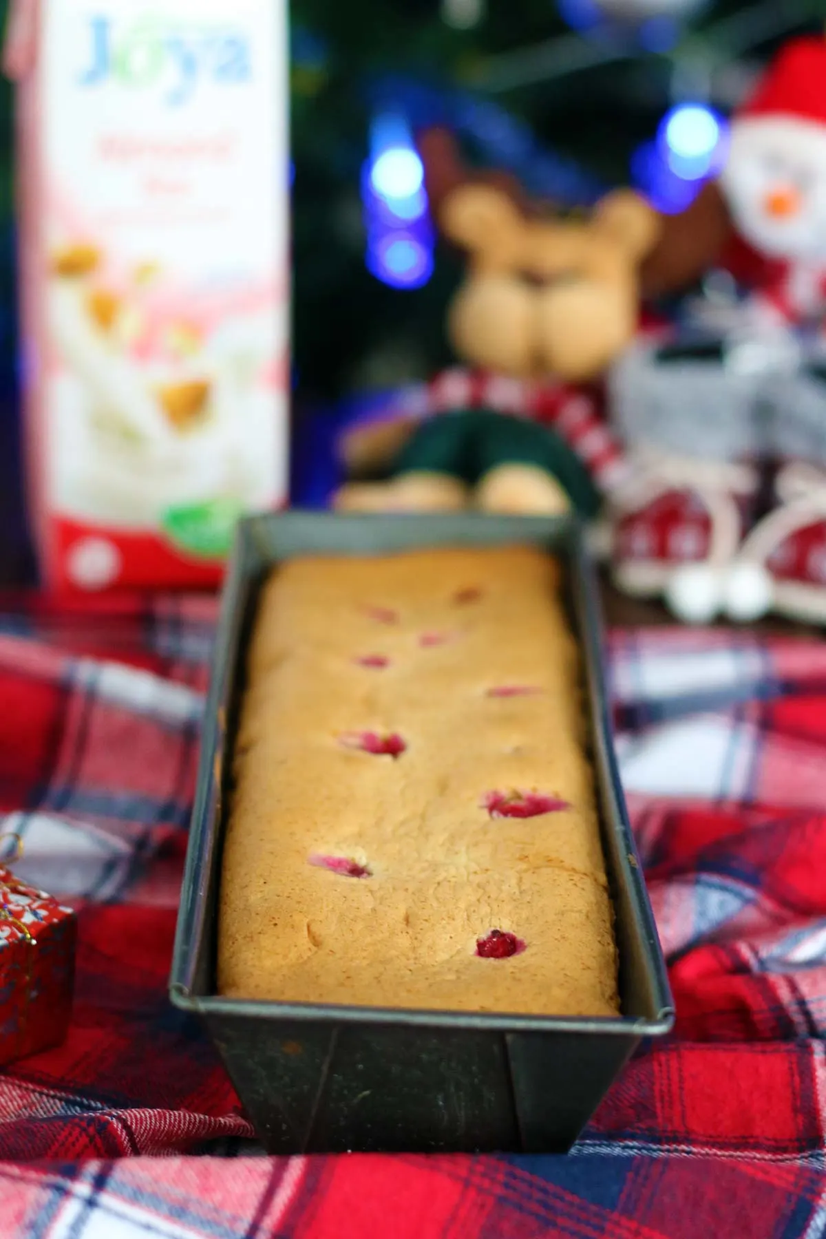 christmas Vegan Sponge Cake with Red Currants 