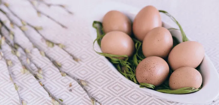 eggs intolerance food intolerances guide