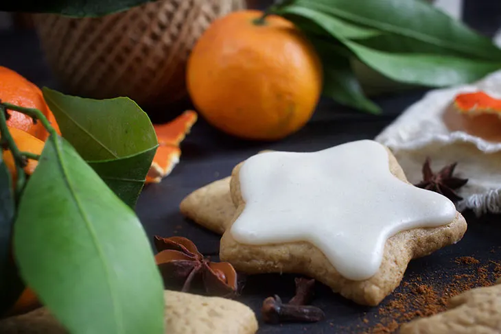 vegan gingerbread cookies cum se face turta dulce vegana