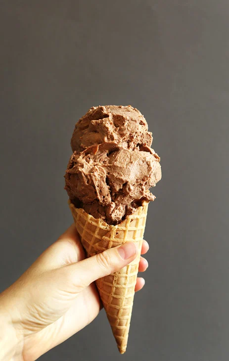 No-Churn Vegan Chocolate Ice Cream