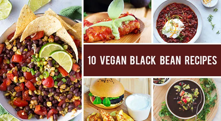 10 Vegan Black Bean Recipes