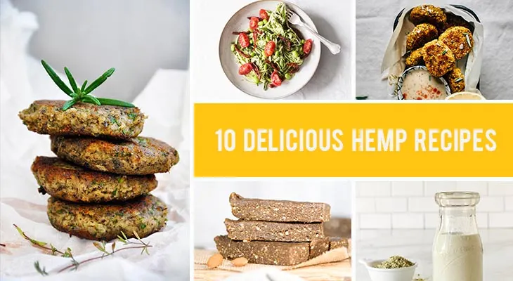 10 Delicious Hemp Recipes That Are Super Rich In Proteins