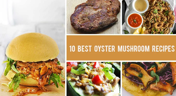 10 Best Oyster Mushroom Recipes You'll Want To Make Again and Again