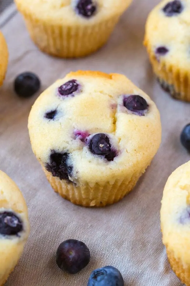 Fat Free Flourless Blueberry Muffins (Sugar Free, Vegan, Gluten Free)
