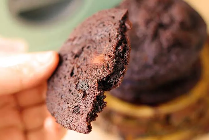 perfect double chocolate chip cookies