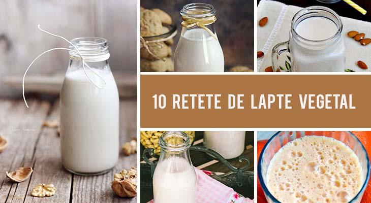 10 Retete de lapte vegetal pe care le poti face usor acasa