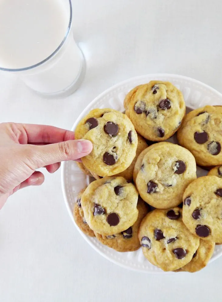 The Ultimate Chewy Chocolate Chip Cookies