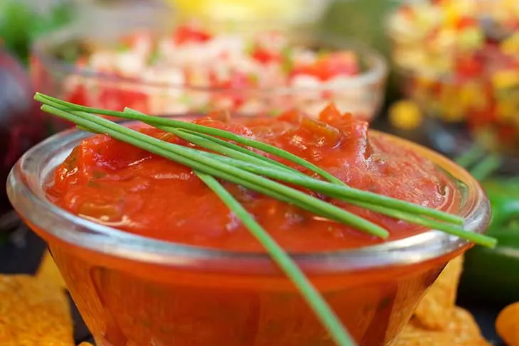 Homemade Salsa Recipes tomato salsa roja