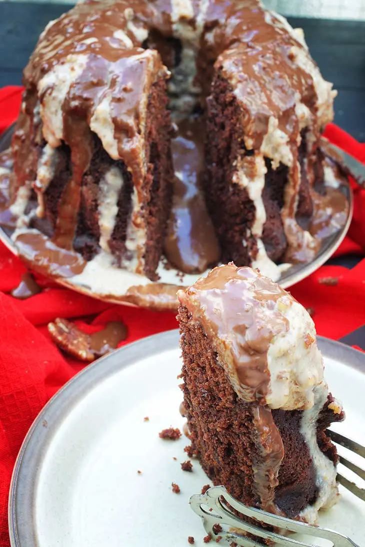 Chocolate Vegan Bundt Cake Recipe 