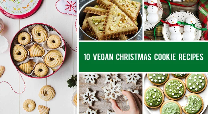 Vegan Christmas Cookies + Natural Food Coloring - Going Zero Waste