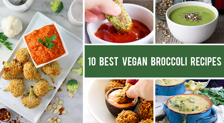 10 Best Vegan Broccoli Recipes Even Kids Will Love Gourmandelle