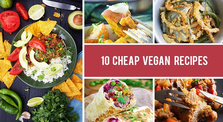 10 Cheap Vegan Recipes for Families Under a Budget and College Students