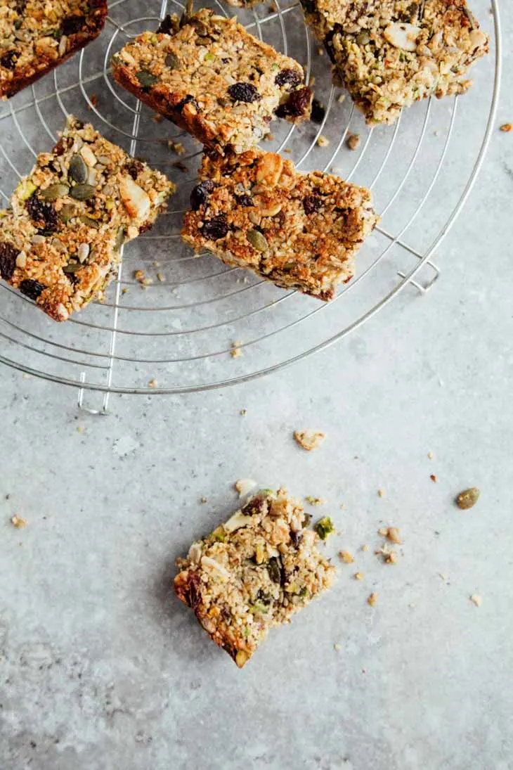 Protein Breakfast Bars (Vegan + Paleo) Homemade Vegan Protein Bars